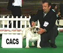 Bullscker - Faberdaron vainqueur a lyon